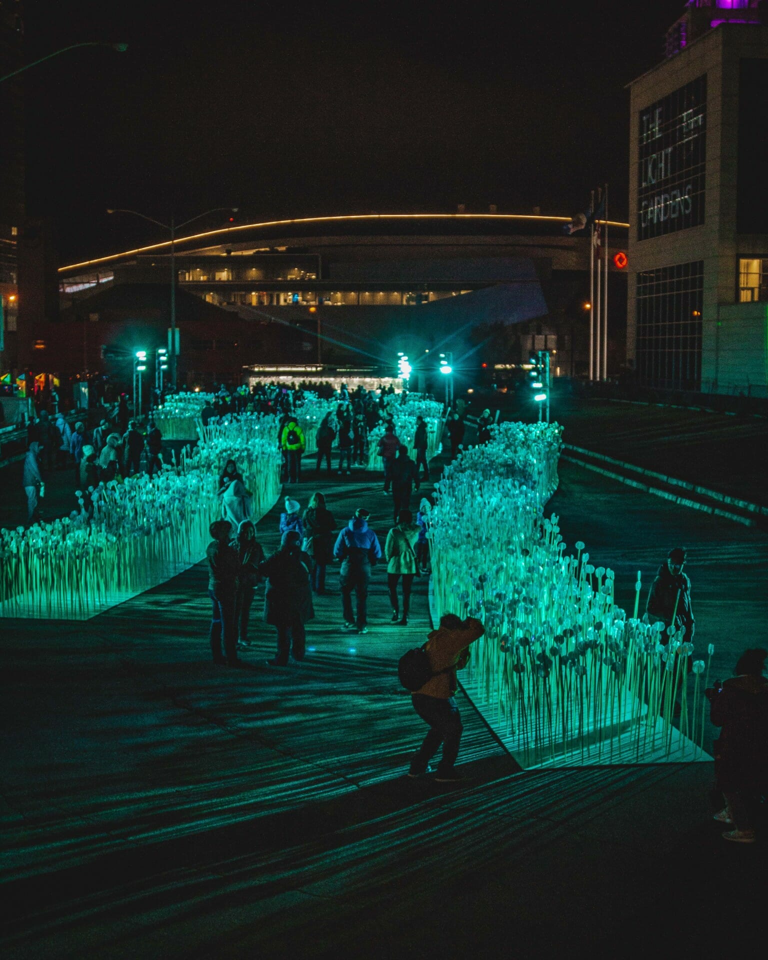 Entre les rangs - Edmonton, Canada - 2018 © Sushami