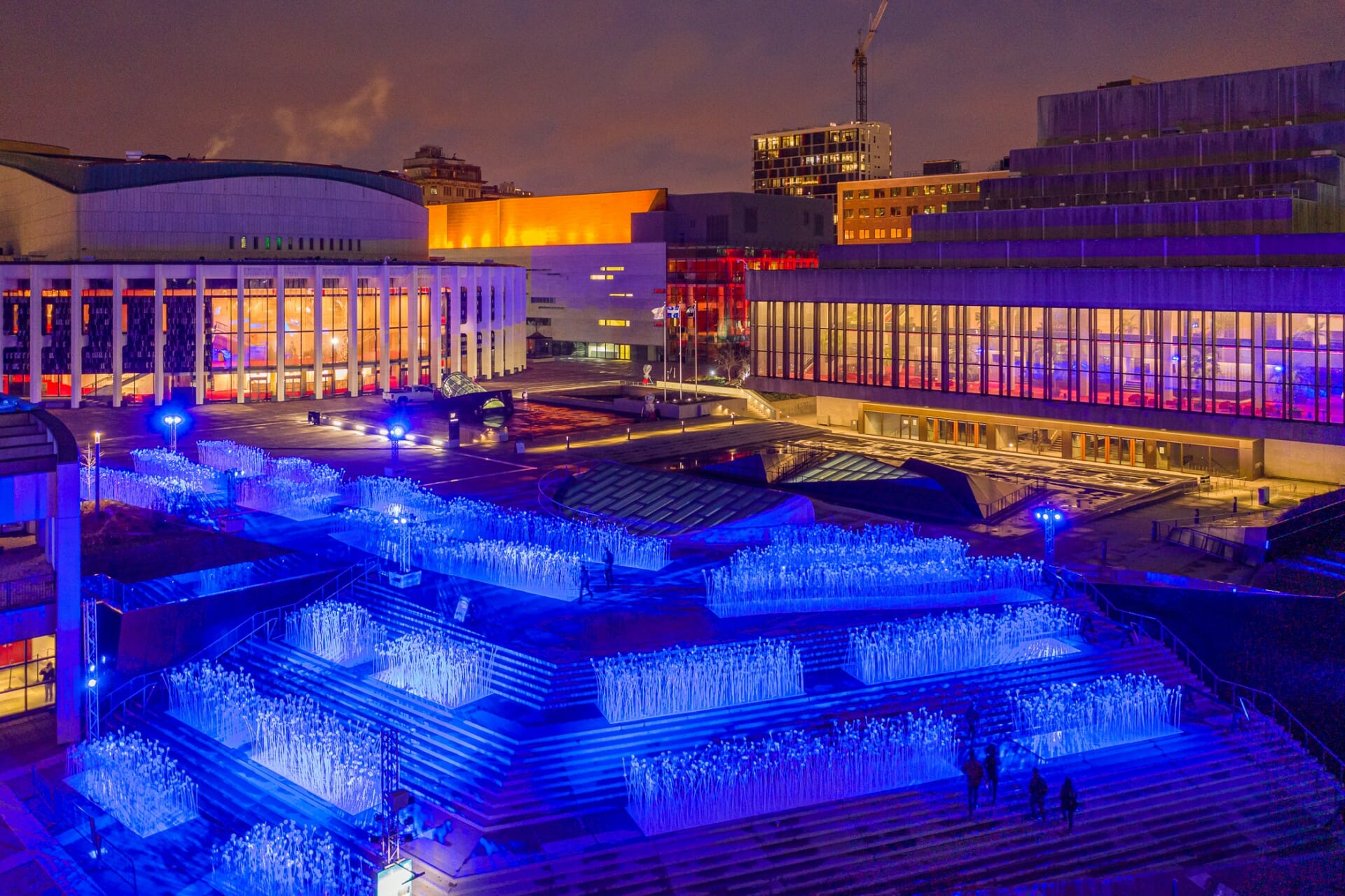 Entre les rangs - Luminothérapie - Montréal, Canada - 2020 © Olivier Gariépy