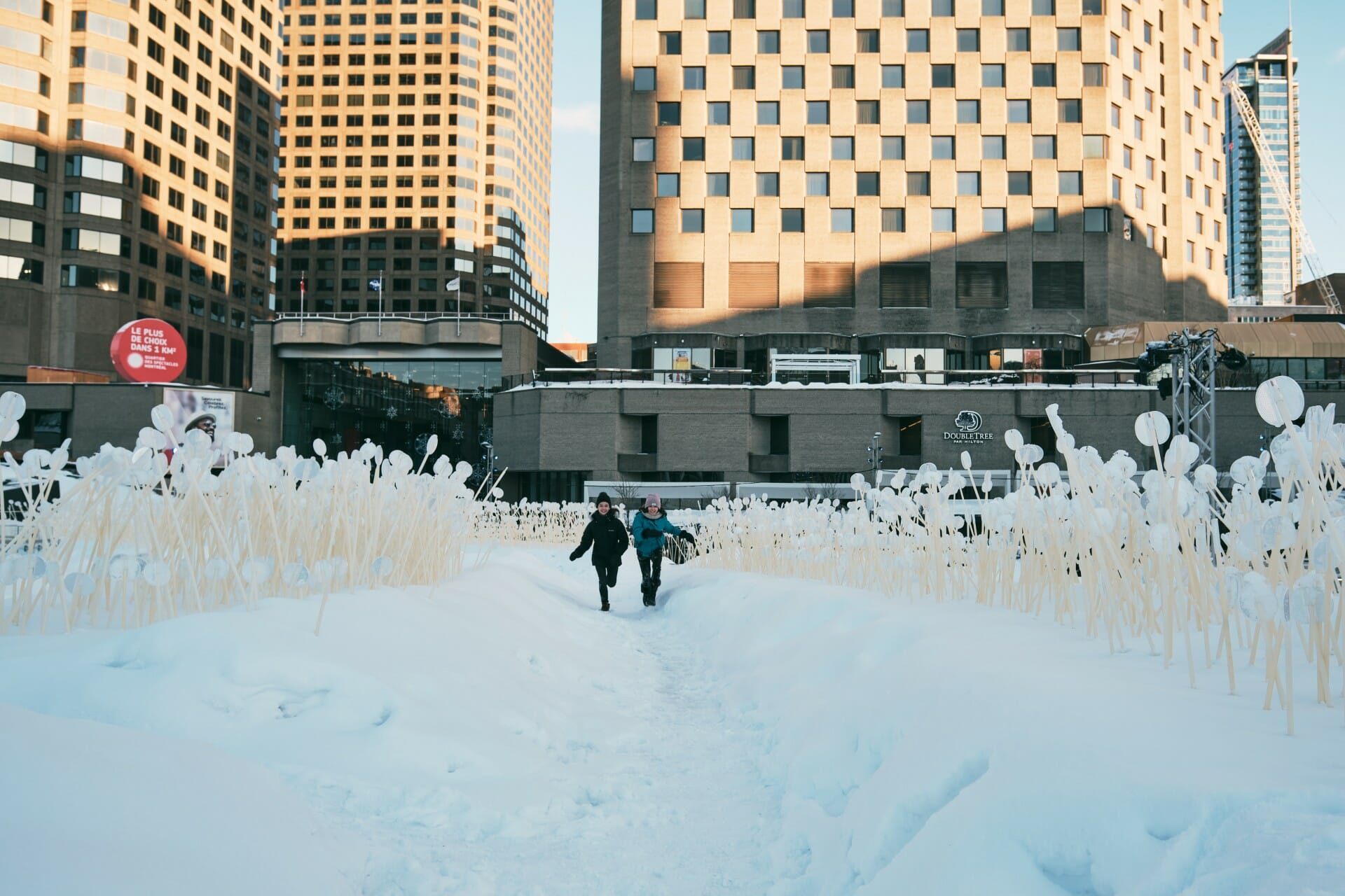 Entre les rangs - Luminothérapie - Montréal, Canada - 2020 © Vivien Gaumand