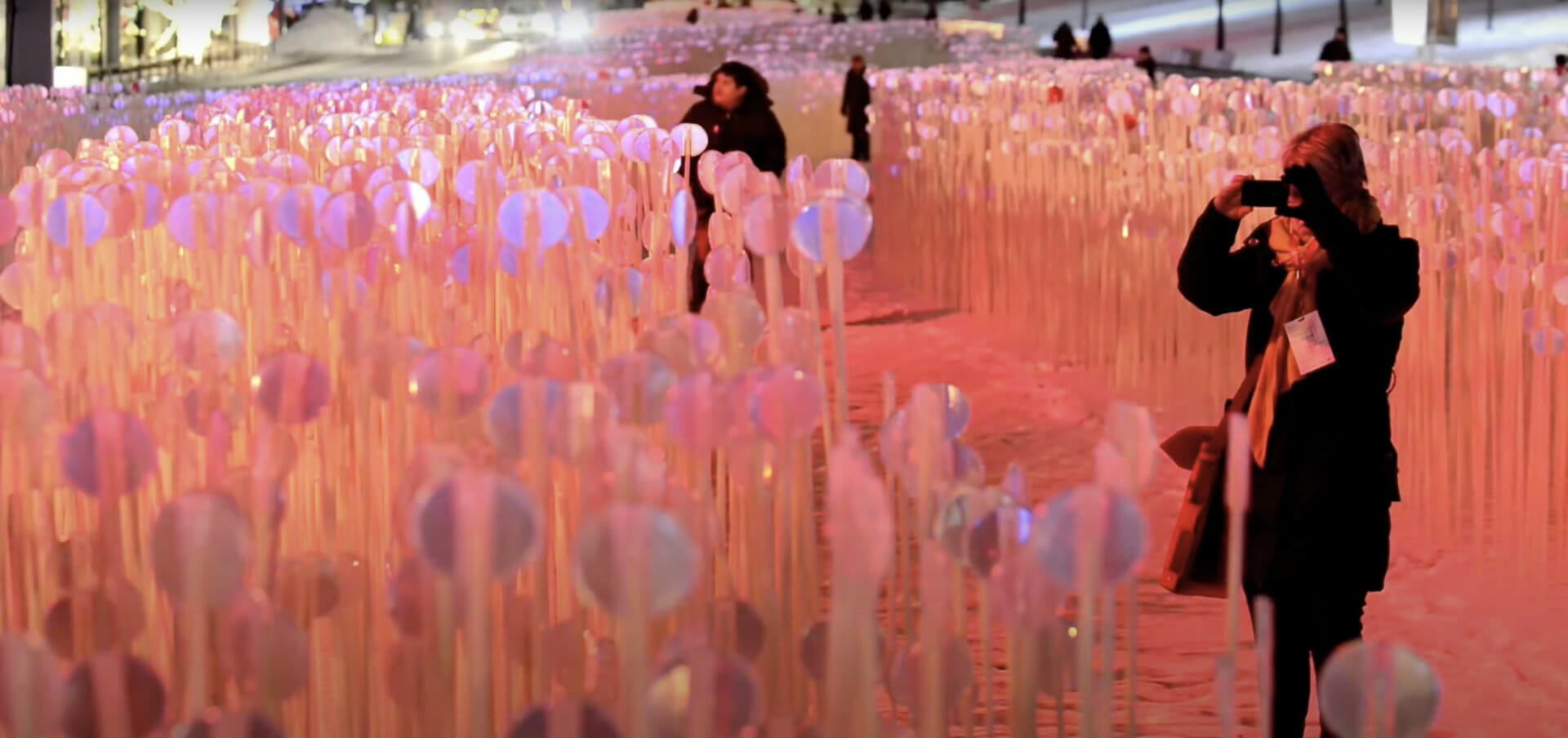 Entre les rangs, Luminothérapie 2014 